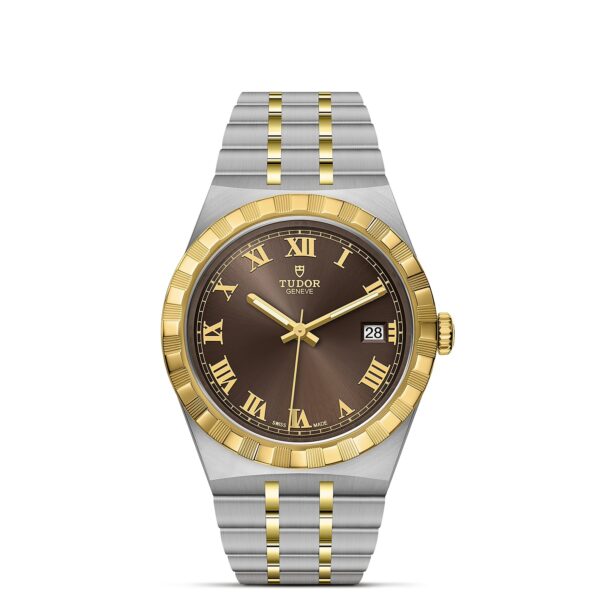 TUDOR Royal Boîtier en acier 38 mm Cadran chocolat