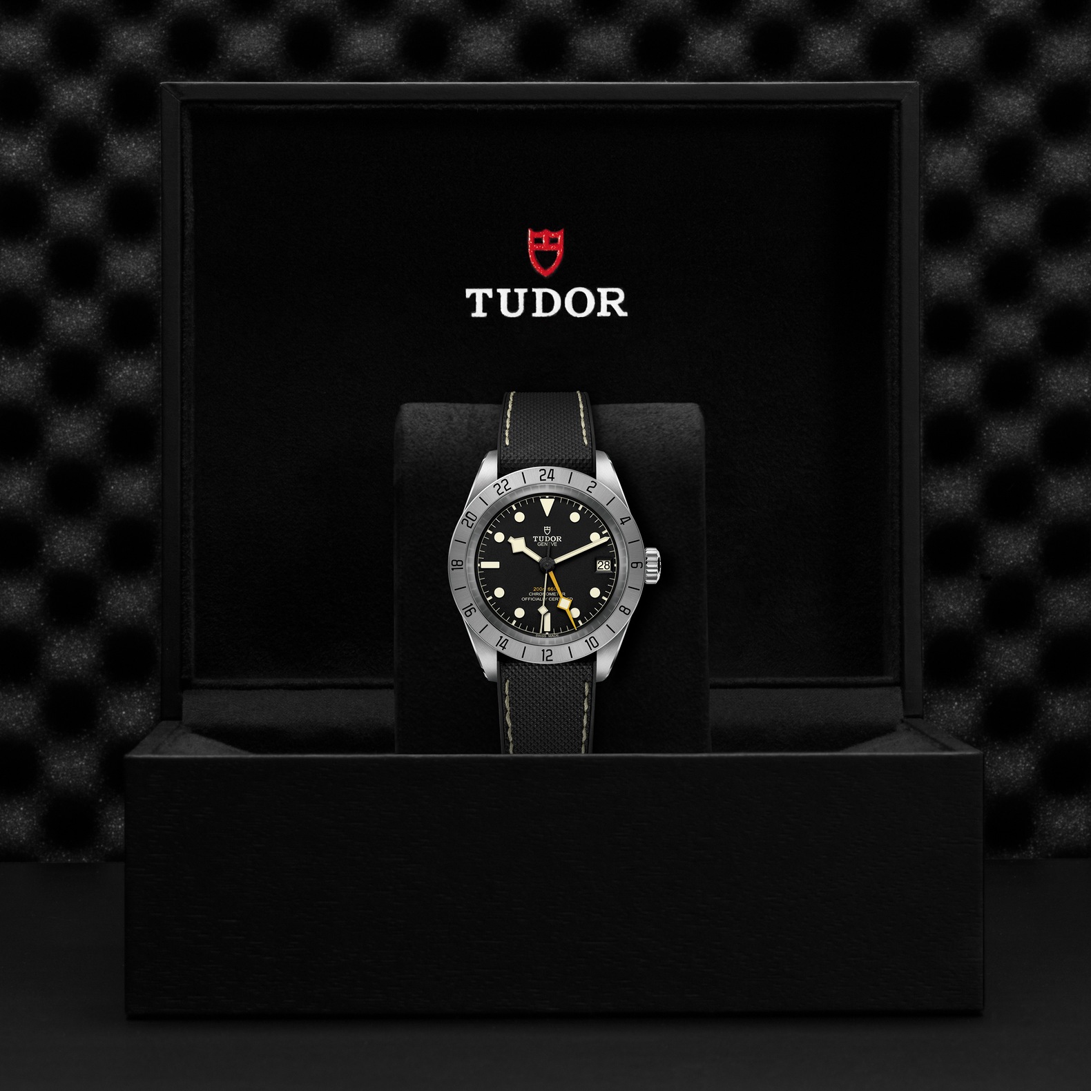 TUDOR Black Bay Pro Boîtier en acier 39 mm Bracelet hybride caoutchouc et cuir – Image 2