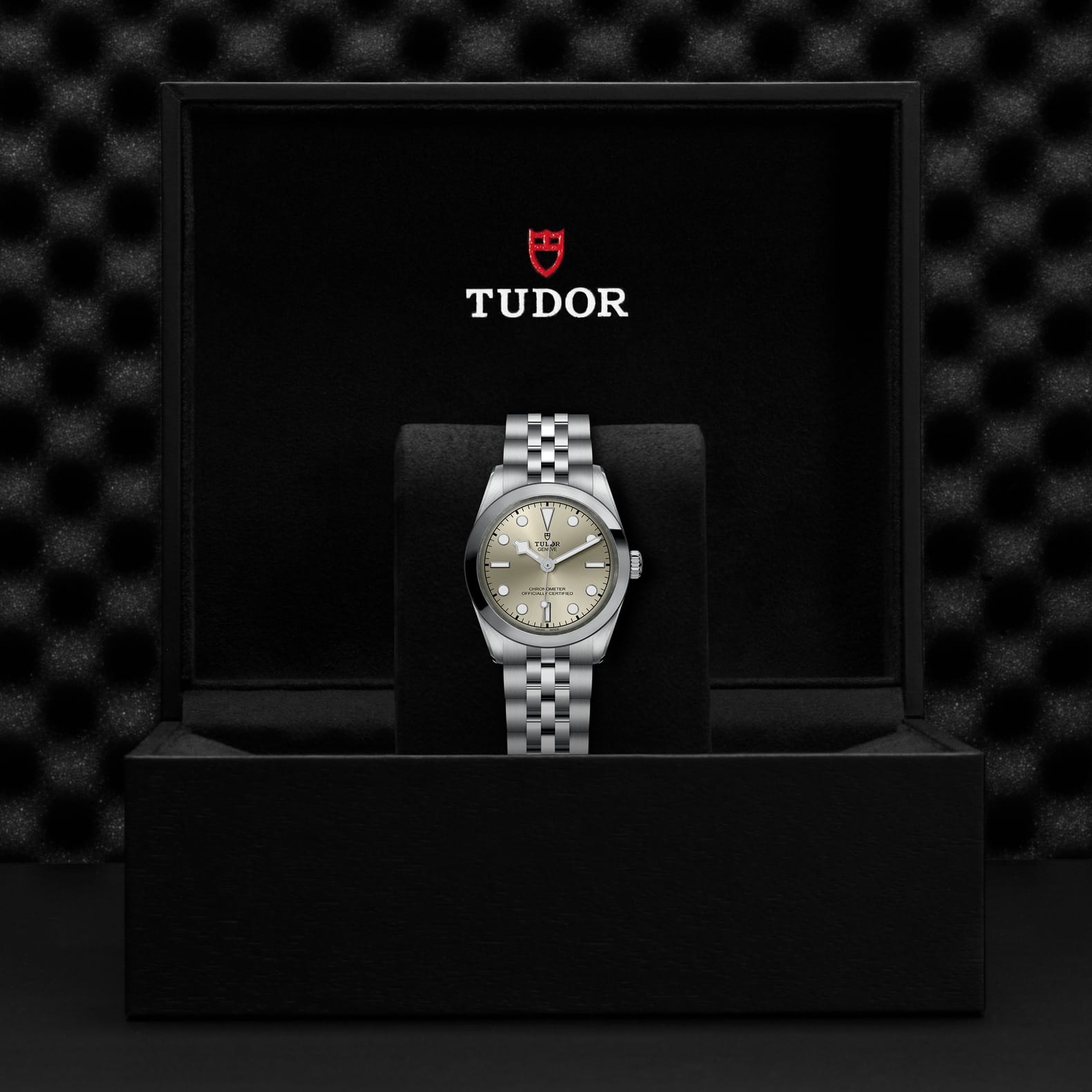 TUDOR Black Bay 31 Boîtier en acier 31 mm Bracelet en acier Cadran champagne clair – Image 2