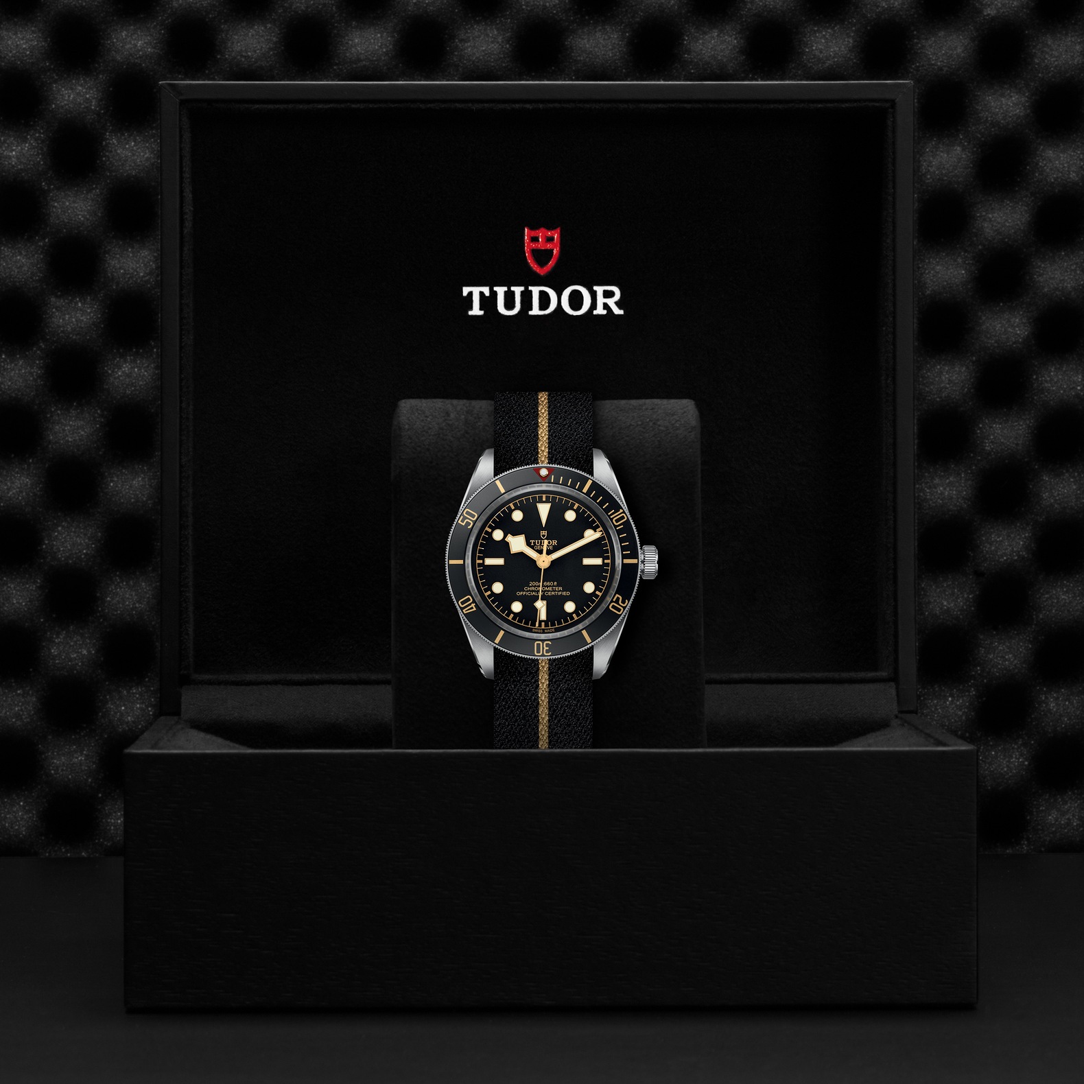 TUDOR Black Bay 58 Boîtier en acier 39 mm Bracelet en tissu Cadran Noir – Image 2