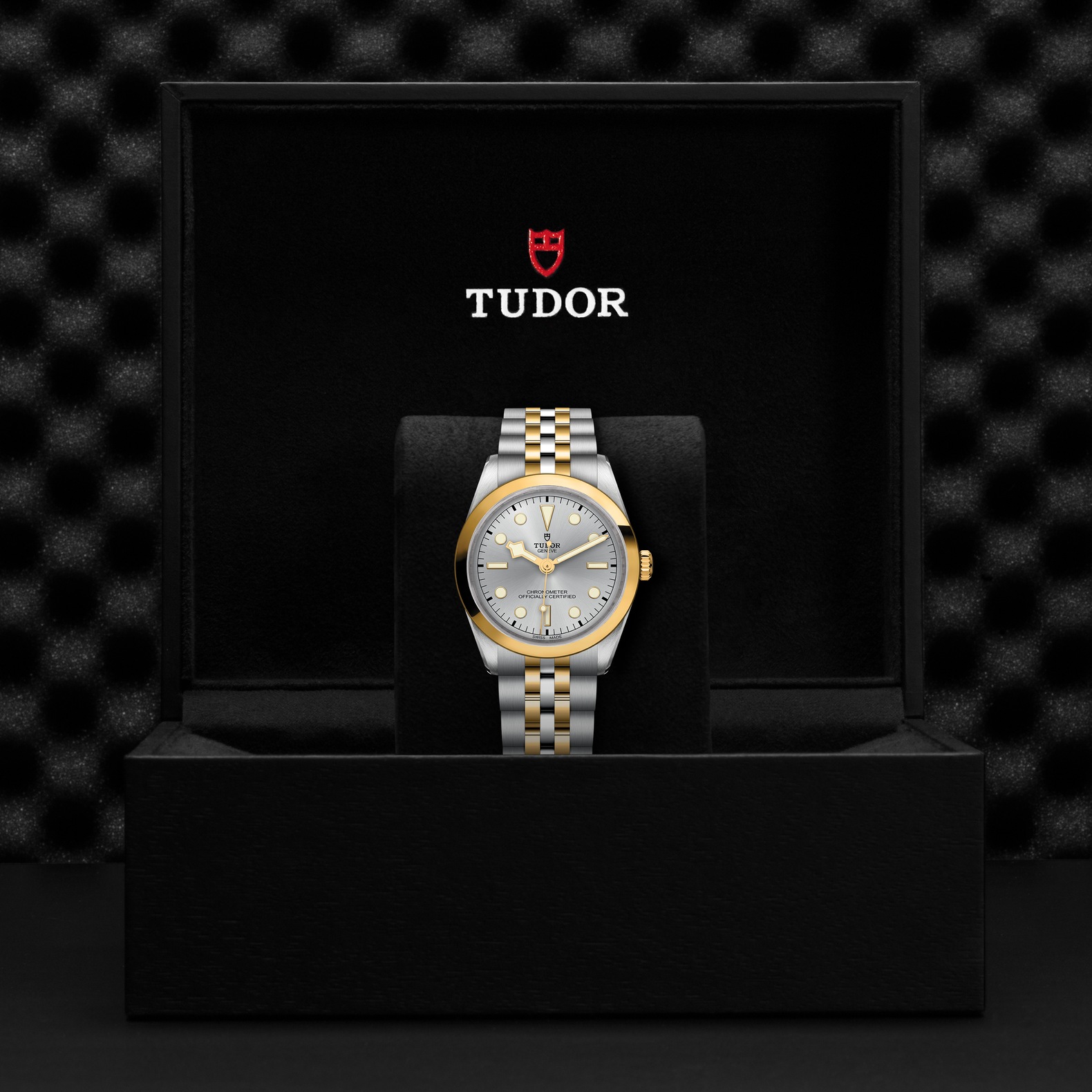 TUDOR Black Bay 36 S&G Boîtier en acier 36 mm Bracelet en acier et or jaune Cadran Argenté – Image 4