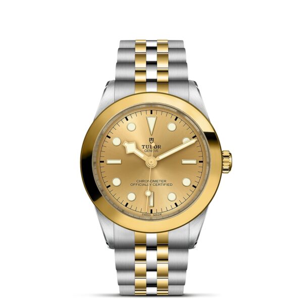 TUDOR Black Bay 39 S&G Boîtier en acier 39 mm Bracelet en acier et or jaune Cadran Champagne