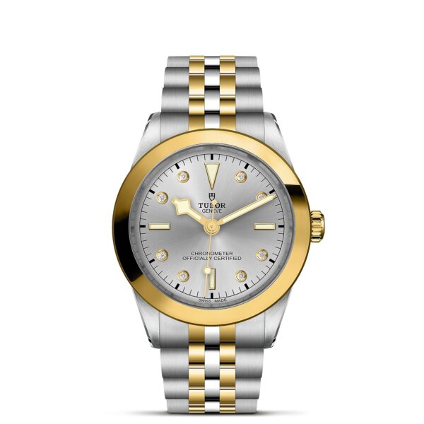 TUDOR Black Bay 39 S&G Boîtier en acier 39 mm Bracelet en acier et or jaune Cadran Argenté avec index diamants