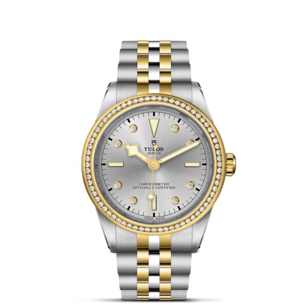 TUDOR Black Bay 39 S&G Boîtier en acier 39 mm Bracelet en acier et or jaune Lunette sertie de diamants Cadran Argenté avec index diamants