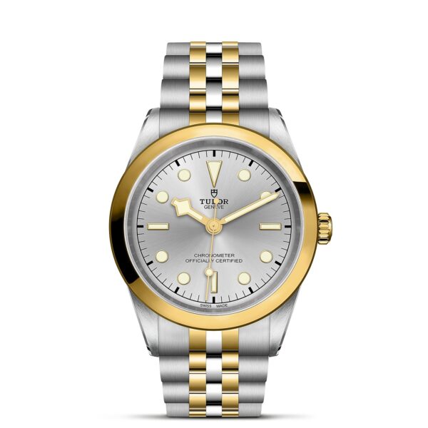 TUDOR Black Bay 41 S&G Boîtier en acier 41 mm Bracelet en acier et or jaune Cadran Argenté