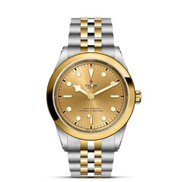 TUDOR Black Bay 41 S&G Boîtier en acier 41 mm Bracelet en acier et or jaune Cadran Champagne