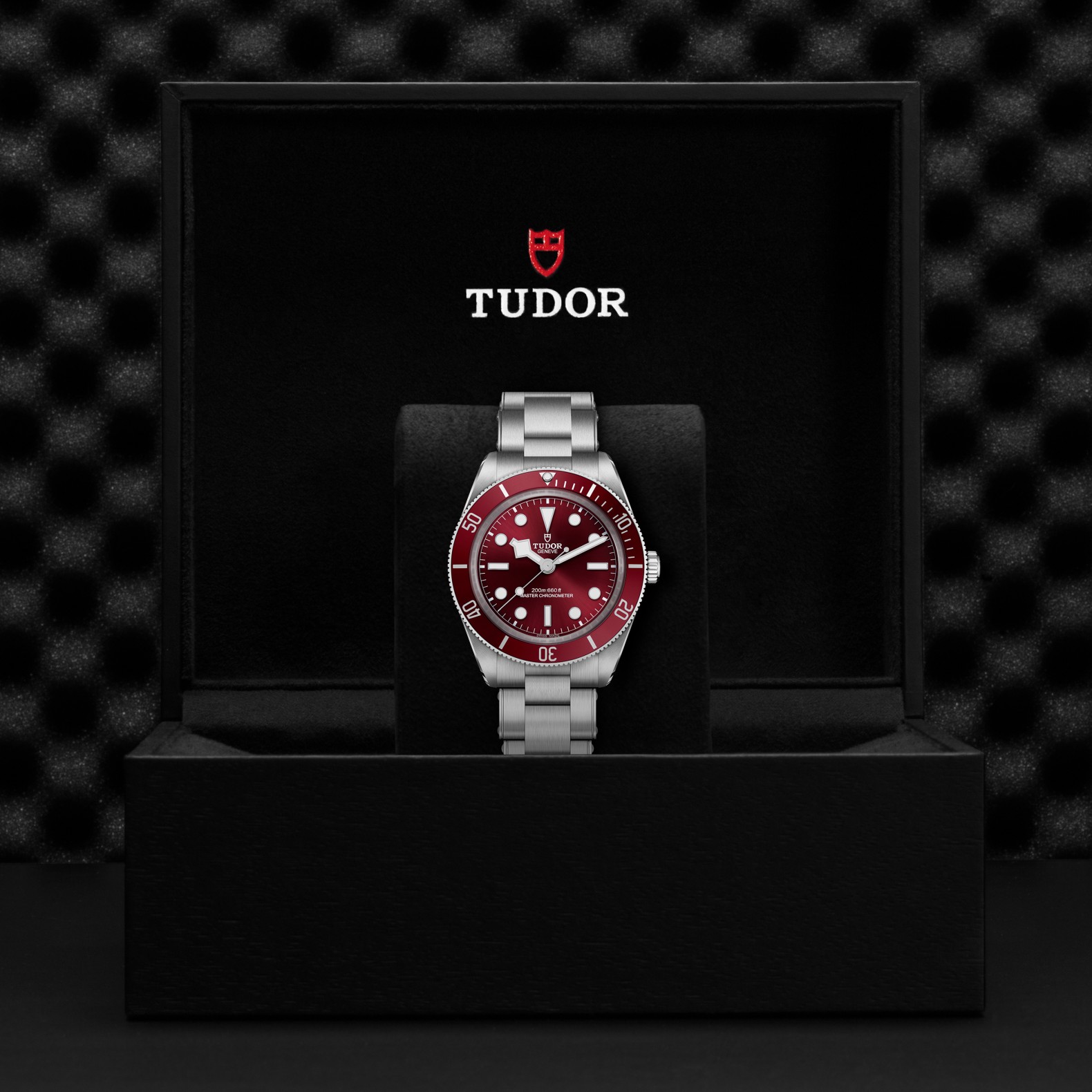 TUDOR Black Bay 58 Boîtier en acier 39 mm Cadran bordeaux Bracelet en acier à trois mailles – Image 2