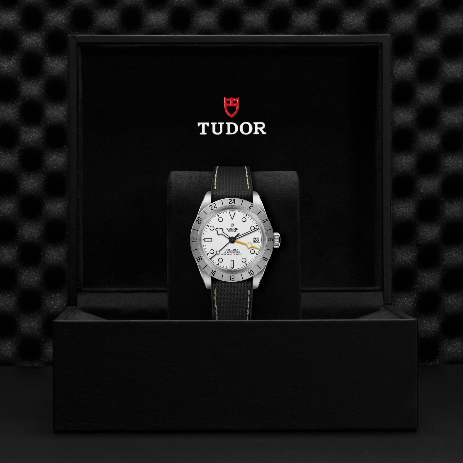 TUDOR Black Bay Pro Boîtier en acier 39 mm Cadran Opalin Bracelet hybride caoutchouc et cuir – Image 3